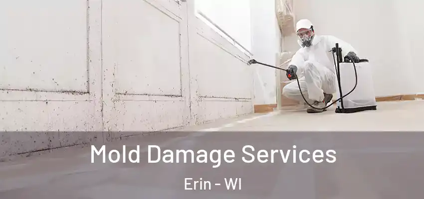 Mold Damage Services Erin - WI