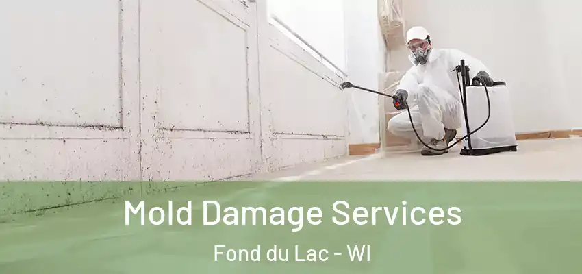  Mold Damage Services Fond du Lac - WI