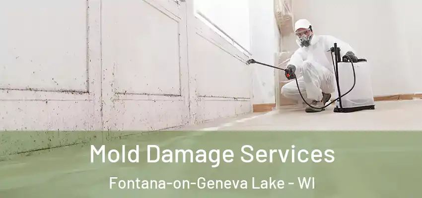  Mold Damage Services Fontana-on-Geneva Lake - WI