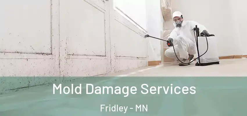  Mold Damage Services Fridley - MN