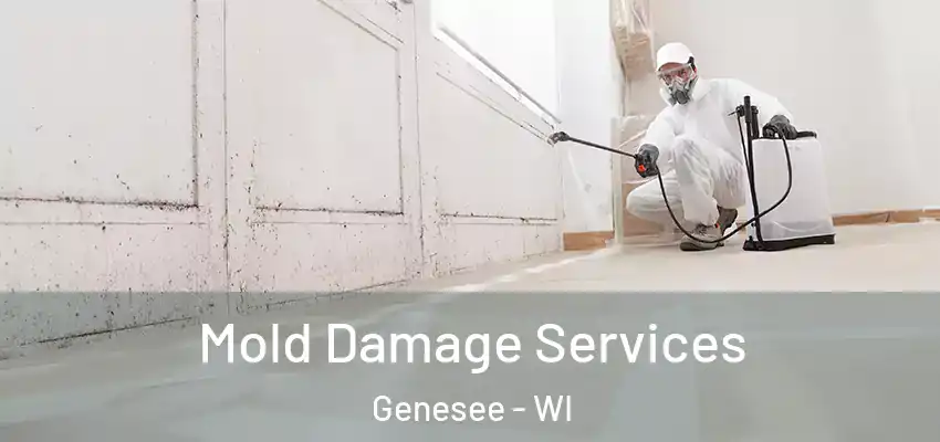  Mold Damage Services Genesee - WI