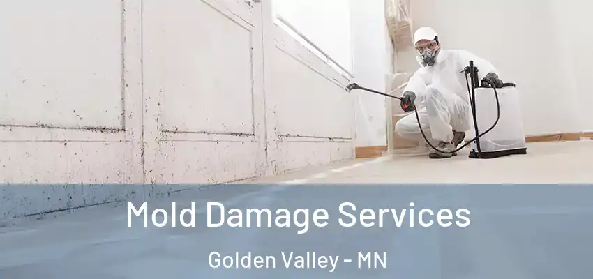  Mold Damage Services Golden Valley - MN