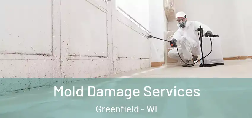 Mold Damage Services Greenfield - WI