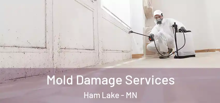 Mold Damage Services Ham Lake - MN