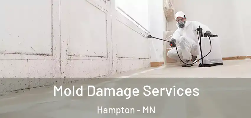  Mold Damage Services Hampton - MN