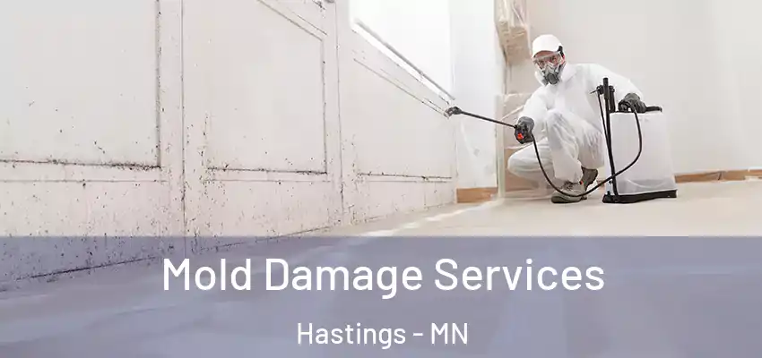 Mold Damage Services Hastings - MN