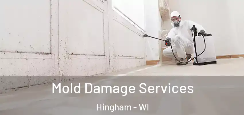  Mold Damage Services Hingham - WI