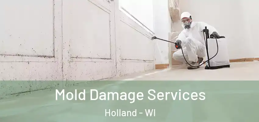 Mold Damage Services Holland - WI