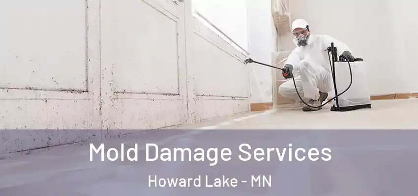  Mold Damage Services Howard Lake - MN