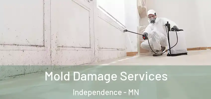  Mold Damage Services Independence - MN
