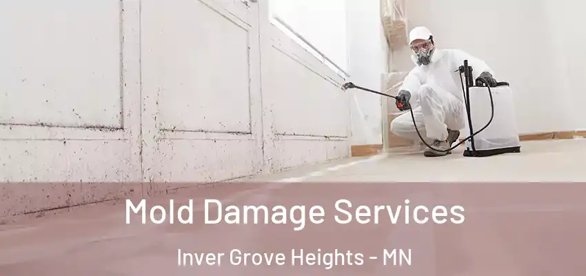  Mold Damage Services Inver Grove Heights - MN