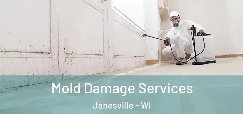 Mold Damage Services Janesville - WI