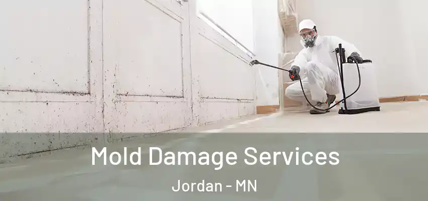 Mold Damage Services Jordan - MN