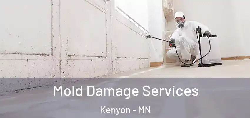  Mold Damage Services Kenyon - MN