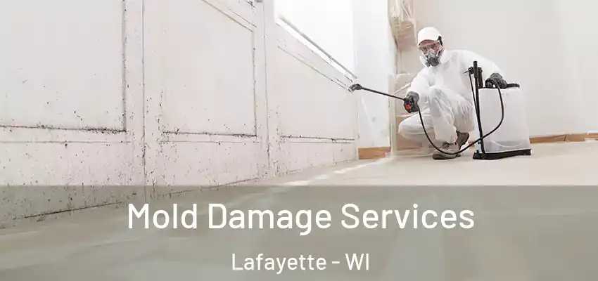 Mold Damage Services Lafayette - WI