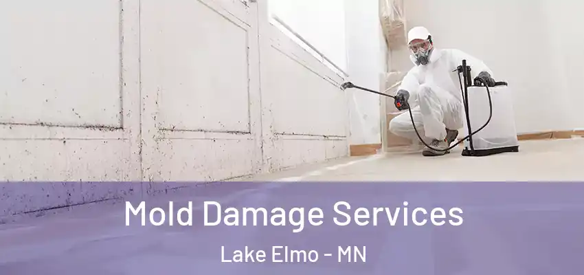 Mold Damage Services Lake Elmo - MN