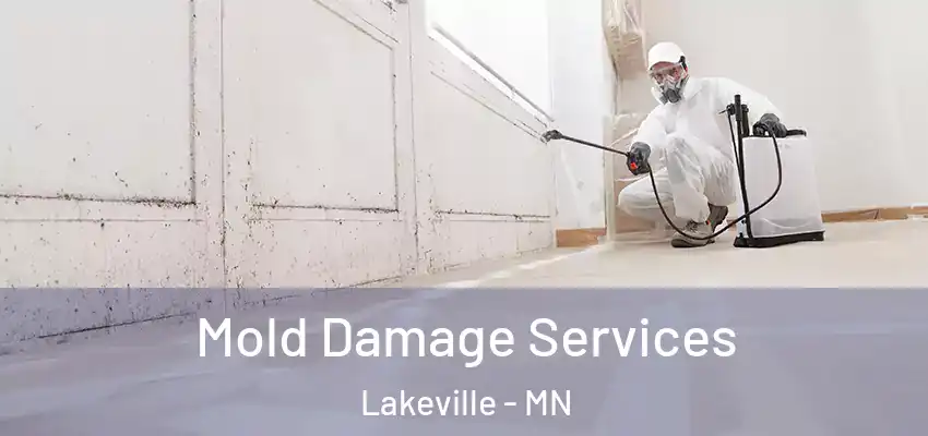  Mold Damage Services Lakeville - MN