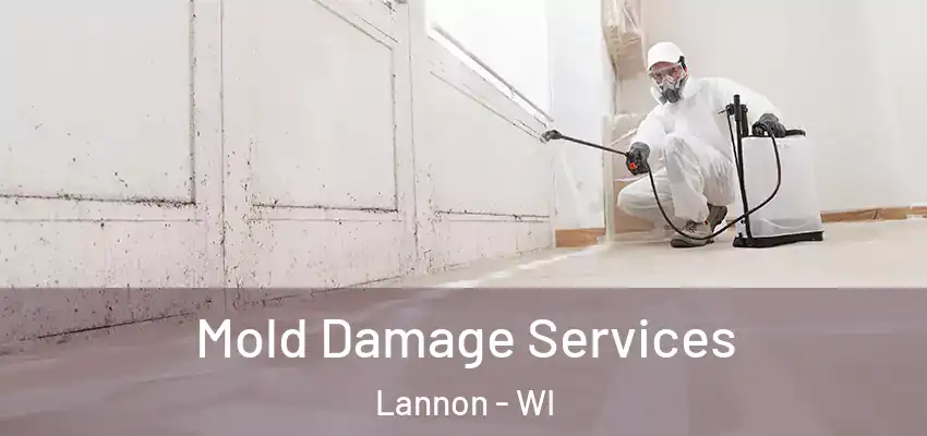 Mold Damage Services Lannon - WI