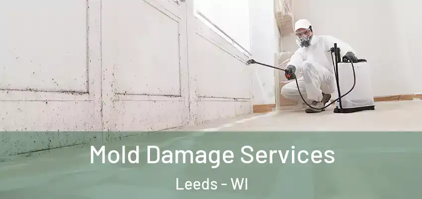 Mold Damage Services Leeds - WI