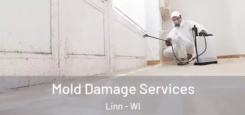  Mold Damage Services Linn - WI