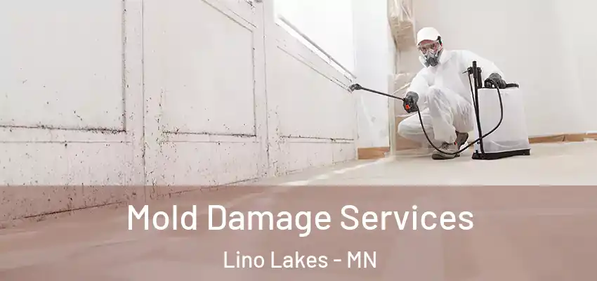 Mold Damage Services Lino Lakes - MN