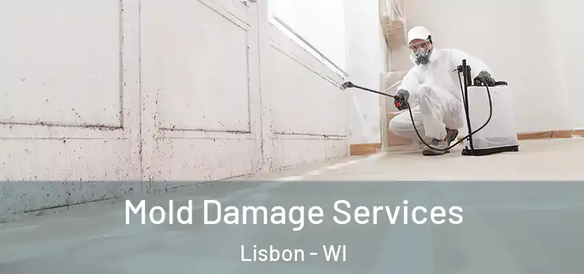 Mold Damage Services Lisbon - WI