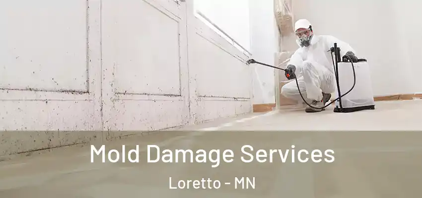  Mold Damage Services Loretto - MN