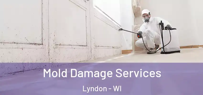 Mold Damage Services Lyndon - WI