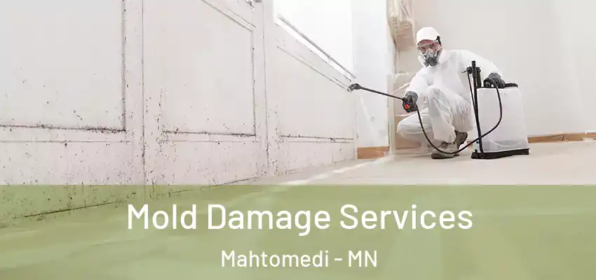  Mold Damage Services Mahtomedi - MN