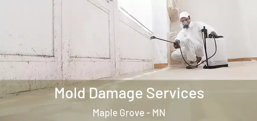  Mold Damage Services Maple Grove - MN