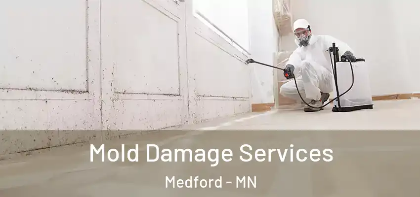 Mold Damage Services Medford - MN