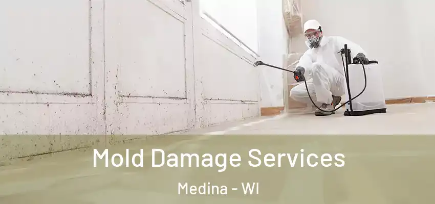  Mold Damage Services Medina - WI
