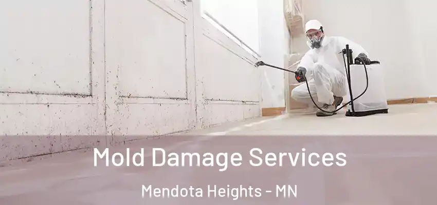  Mold Damage Services Mendota Heights - MN