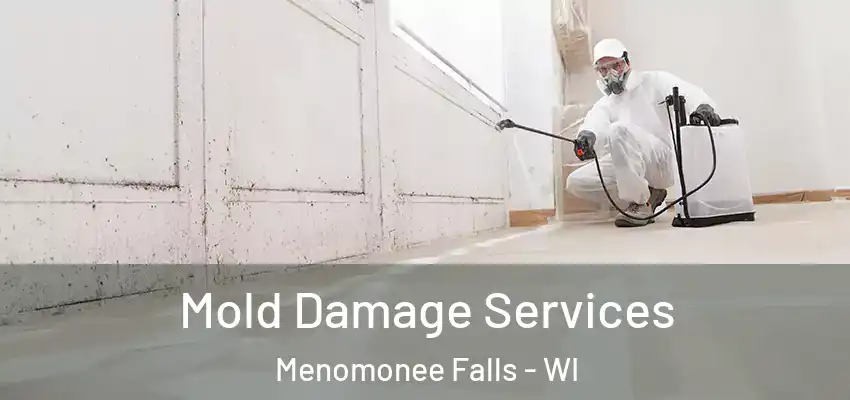 Mold Damage Services Menomonee Falls - WI
