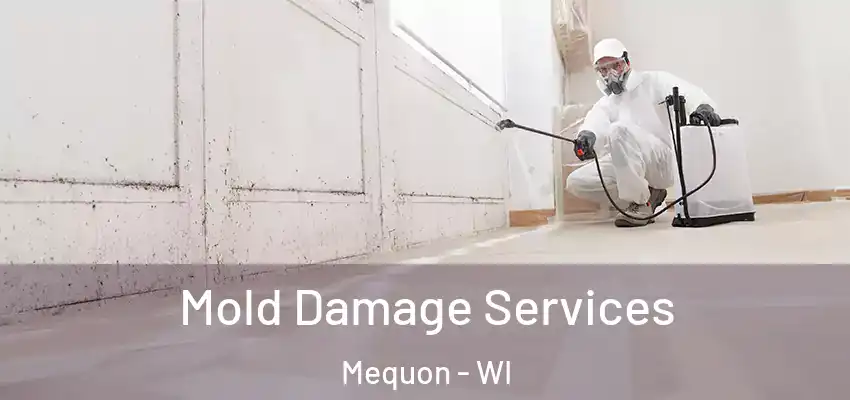 Mold Damage Services Mequon - WI
