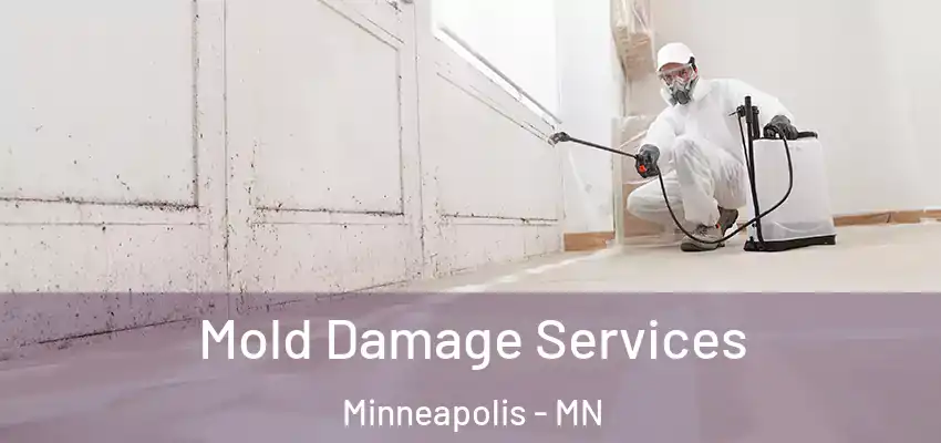 Mold Damage Services Minneapolis - MN