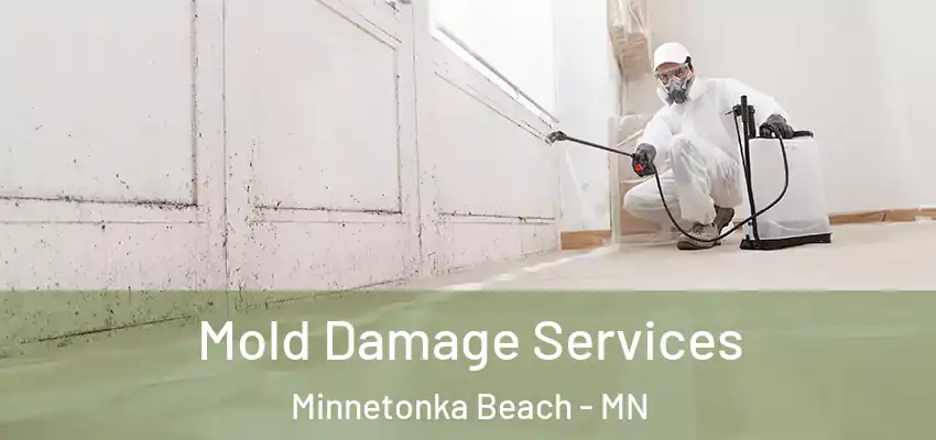  Mold Damage Services Minnetonka Beach - MN