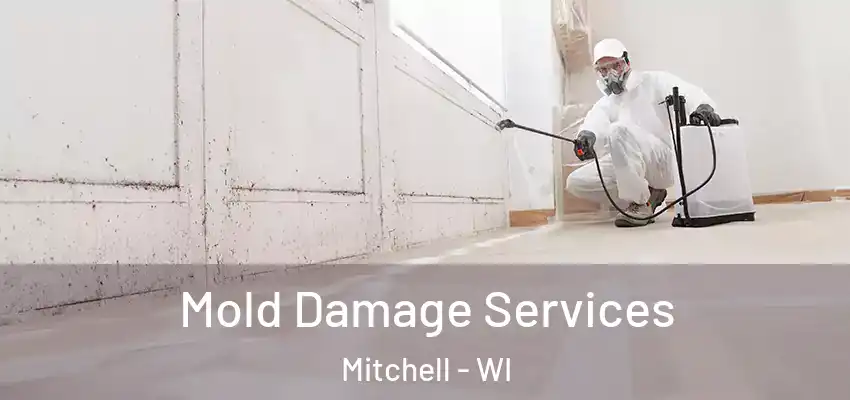  Mold Damage Services Mitchell - WI
