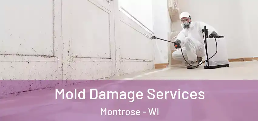  Mold Damage Services Montrose - WI