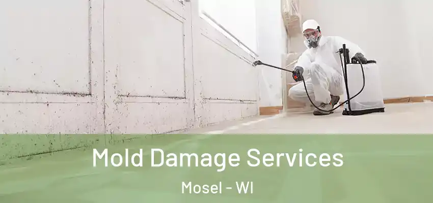 Mold Damage Services Mosel - WI