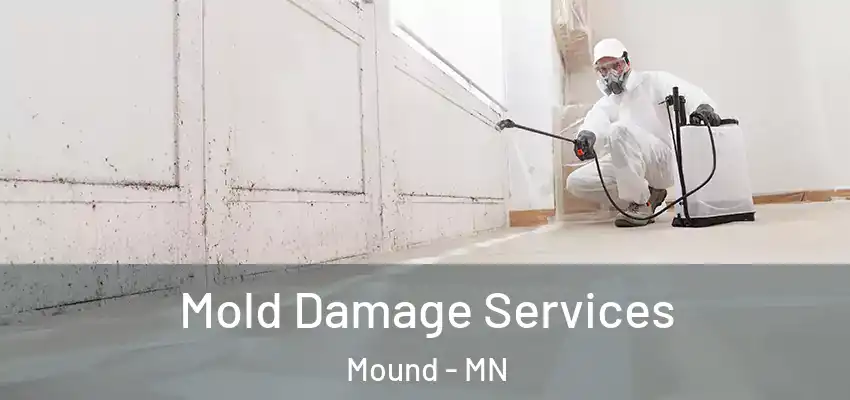  Mold Damage Services Mound - MN