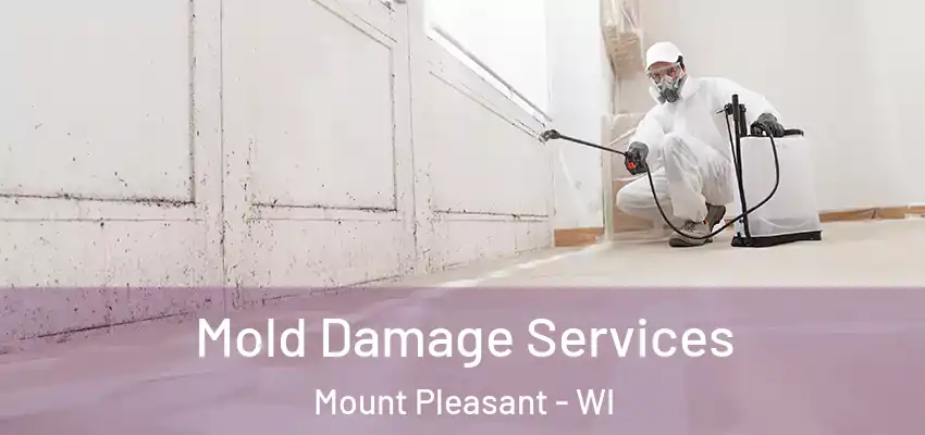 Mold Damage Services Mount Pleasant - WI