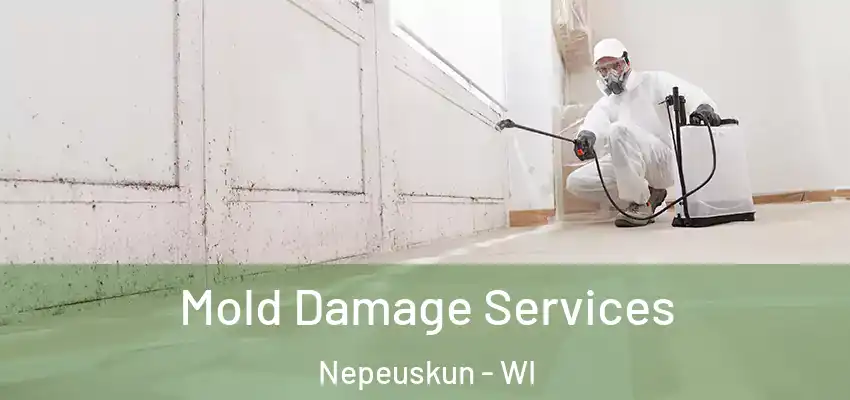 Mold Damage Services Nepeuskun - WI