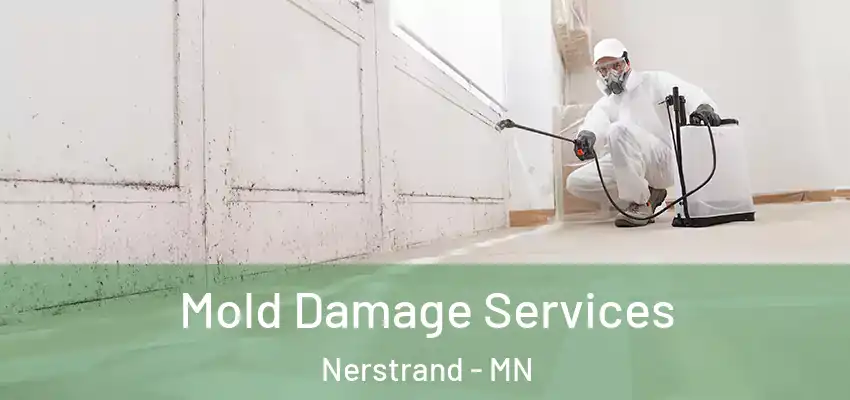  Mold Damage Services Nerstrand - MN