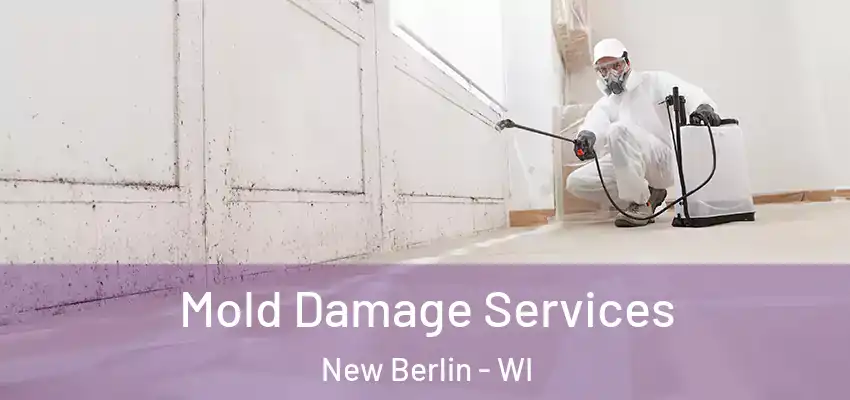 Mold Damage Services New Berlin - WI