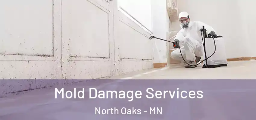  Mold Damage Services North Oaks - MN