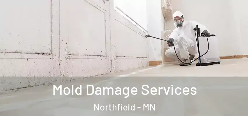 Mold Damage Services Northfield - MN