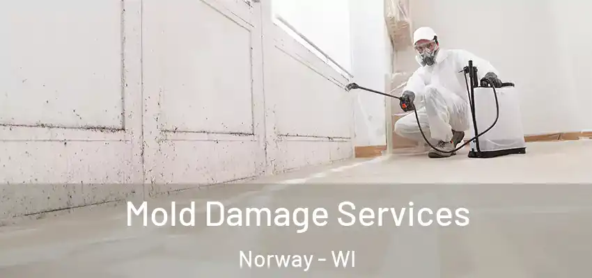 Mold Damage Services Norway - WI