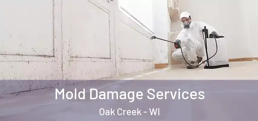  Mold Damage Services Oak Creek - WI