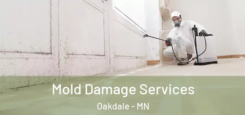 Mold Damage Services Oakdale - MN